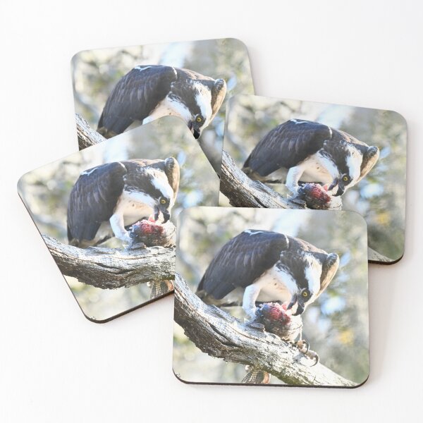 Item preview, Fish on Fridays  designed and sold by Glennphotos.