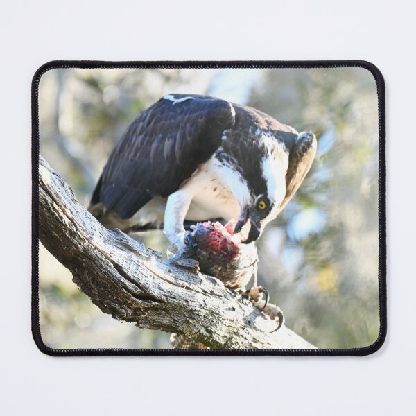 Item preview, Fish on Fridays designed and sold by Glennphotos.