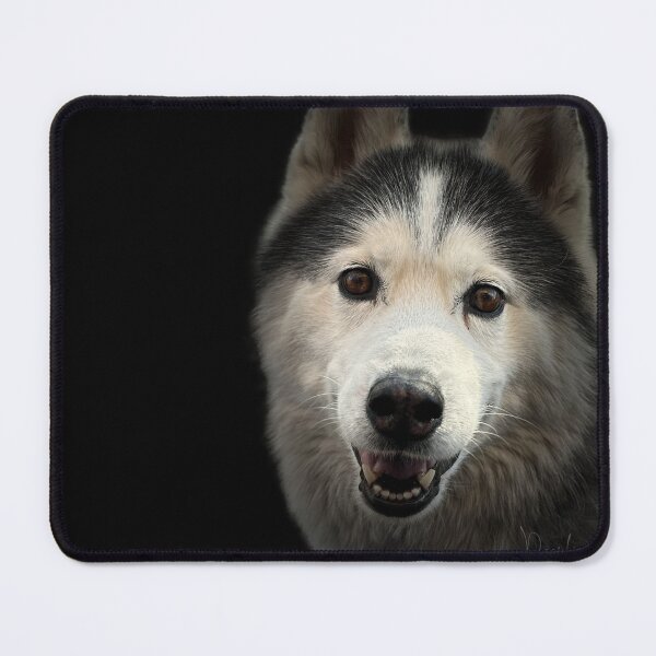 Item preview, Alaskan Malamute Portrait designed and sold by DeeplineArt.