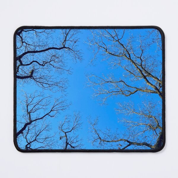 Item preview, Tree Branches Framing a Clear Blue Sky designed and sold by MatthewHeights.