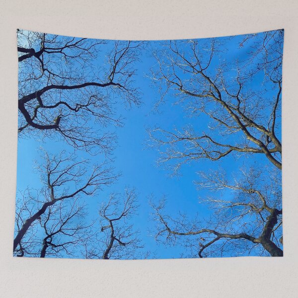 Item preview, Tree Branches Framing a Clear Blue Sky designed and sold by MatthewHeights.