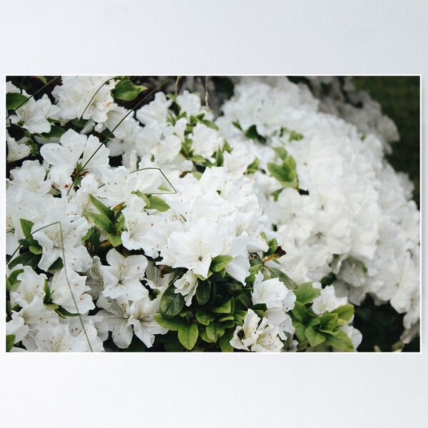 Item preview, Kyoto Garden, Holland Park designed and sold by aandreareyes.