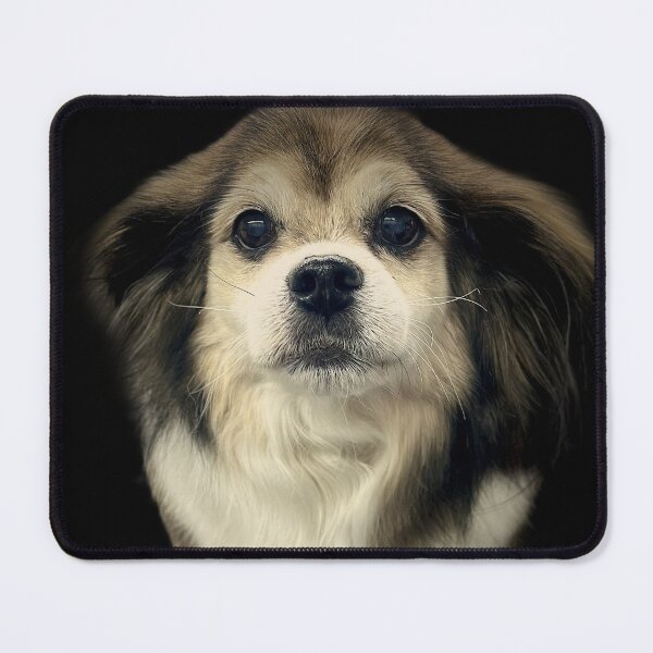 Item preview, Tibetan Spaniel Portrait  designed and sold by DeeplineArt.