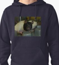 Buy Me! Pullover Hoodie