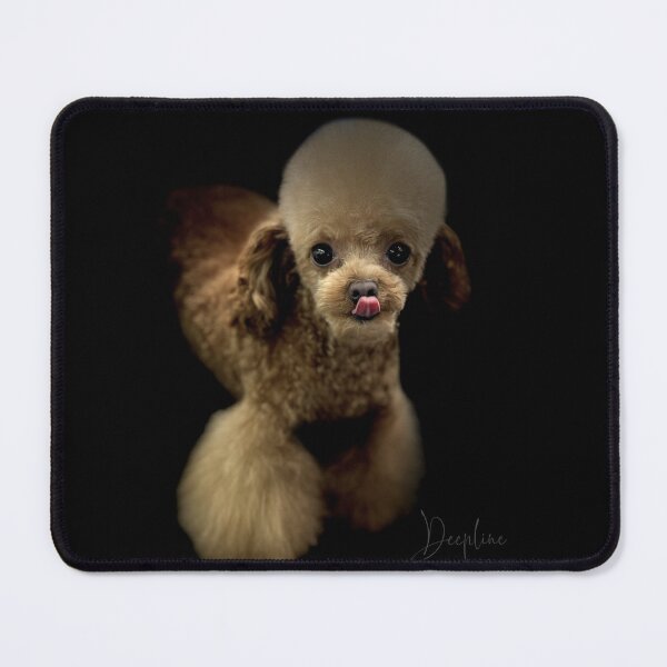 Item preview, Toy Poodle Portrait  designed and sold by DeeplineArt.