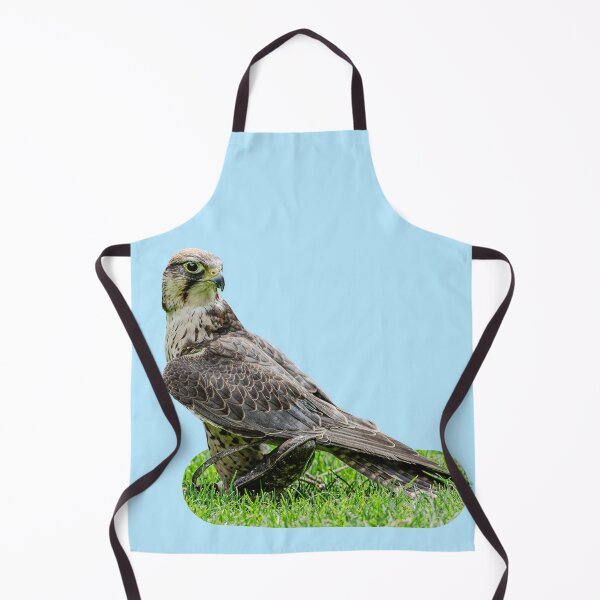 Item preview, The Falcon standing on the Lure designed and sold by Dalyndigital Photography.