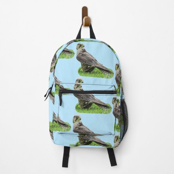 Item preview, The Falcon standing on the Lure designed and sold by Dalyndigital Photography.