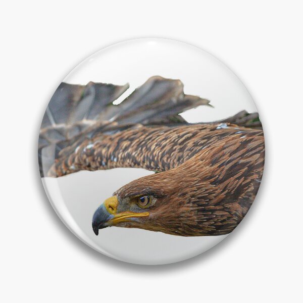 Item preview, the flight of the Eagle designed and sold by Dalyndigital Photography.