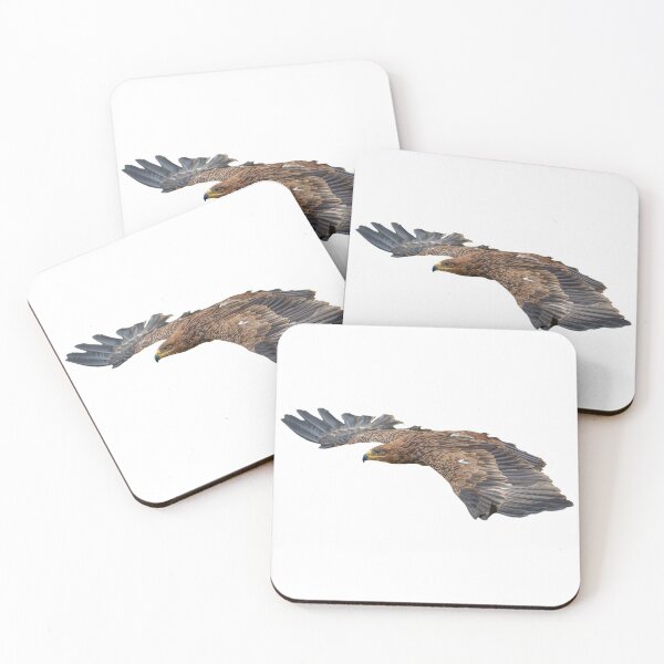 Item preview, the flight of the Eagle designed and sold by Dalyndigital Photography.
