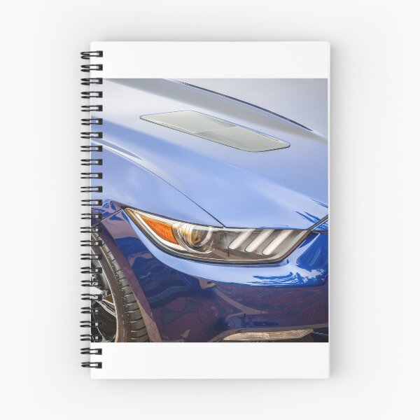Item preview, 2016 Blue Ford Mustang GT 5.0 X237 designed and sold by RichFrancoCars.
