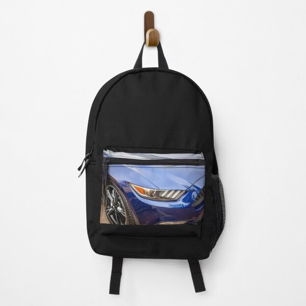 Item preview, 2016 Blue Ford Mustang GT 5.0 X237 designed and sold by RichFrancoCars.