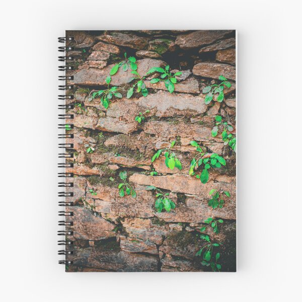 Item preview, Stonewall designed and sold by PyrePhotos.
