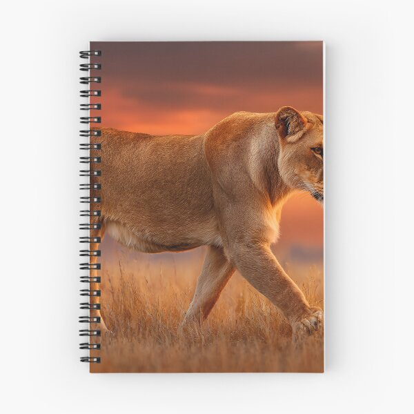 Item preview, Majestic Lioness Walking in Sunset Background designed and sold by Artessie.