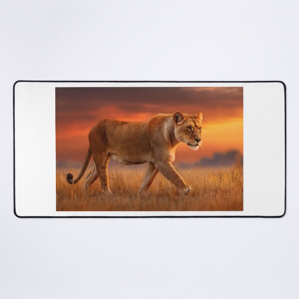 Item preview, Majestic Lioness Walking in Sunset Background designed and sold by Artessie.