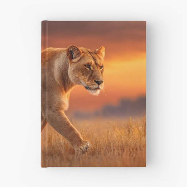Item preview, Majestic Lioness Walking in Sunset Background designed and sold by Artessie.