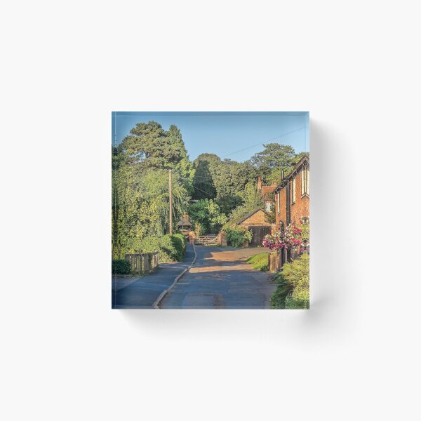 Item preview, #111 St Anne's lane, Sutton Bonington  designed and sold by phutball.