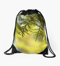 Filtered light Drawstring Bag