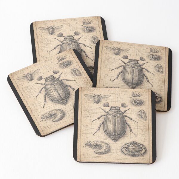 Item preview, Beetle Anatomy Engraving – Gift for Book Lovers • Dark Academia Entomology Art designed and sold by JacobKAurumhead.