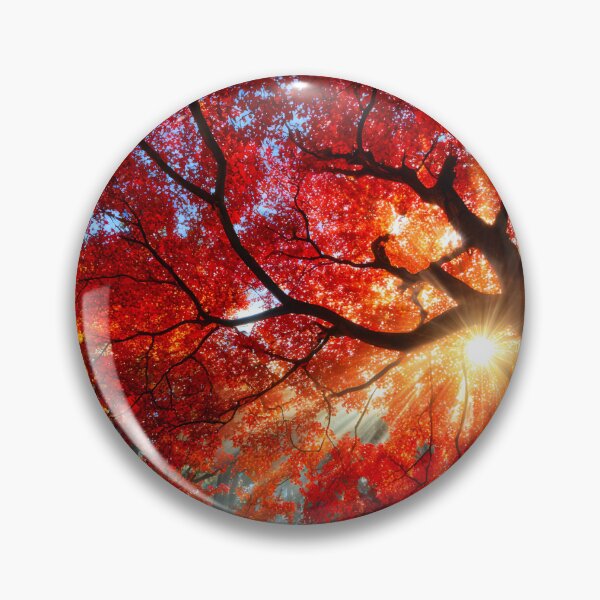 Item preview, Vibrant Autumn Leaves Illuminated by Sunlight designed and sold by Artessie.