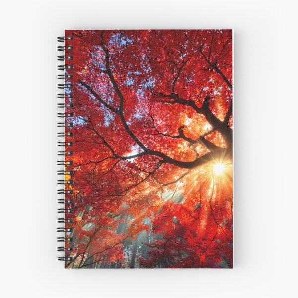 Item preview, Vibrant Autumn Leaves Illuminated by Sunlight designed and sold by Artessie.