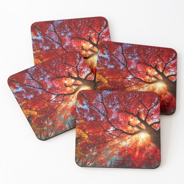 Item preview, Vibrant Autumn Leaves Illuminated by Sunlight designed and sold by Artessie.