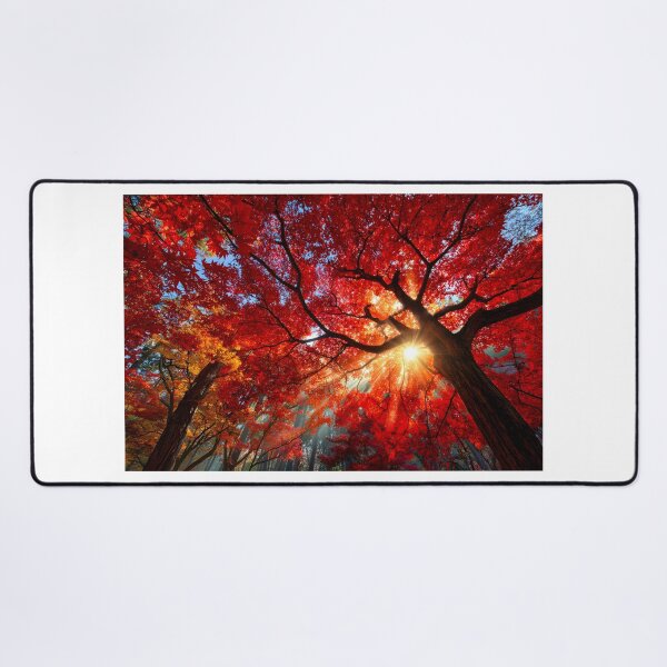 Item preview, Vibrant Autumn Leaves Illuminated by Sunlight designed and sold by Artessie.