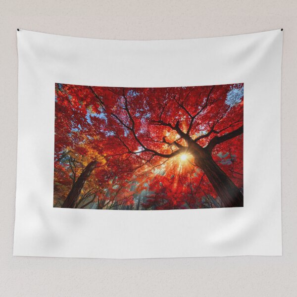 Item preview, Vibrant Autumn Leaves Illuminated by Sunlight designed and sold by Artessie.
