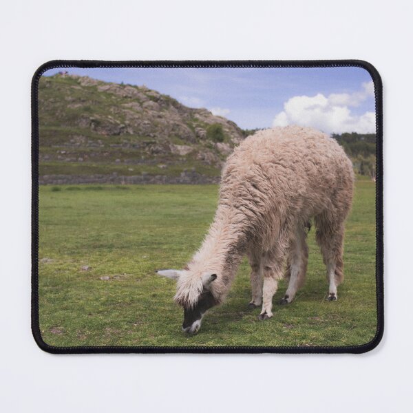 Item preview, Alpaca Nourishment designed and sold by OddParallels.