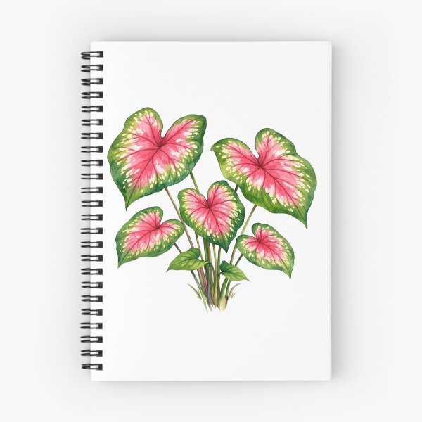 Item preview, Watercolor Pink Caladium Plant Leaves designed and sold by silviaol.