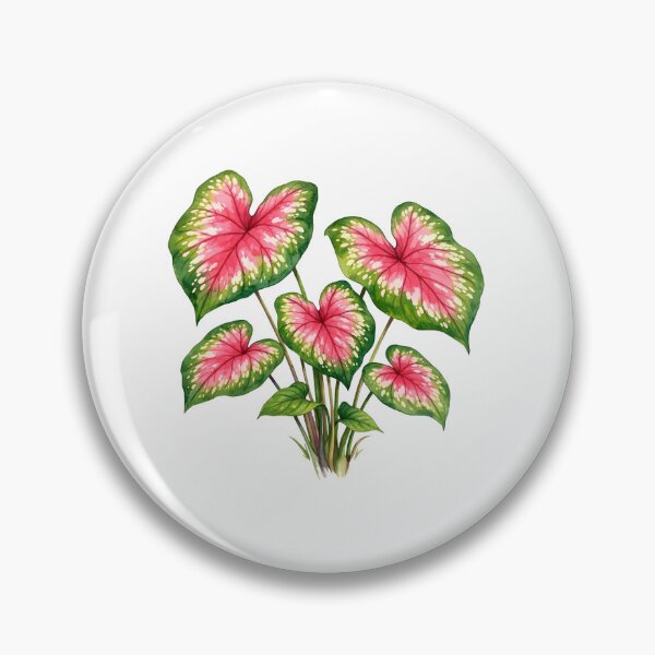 Item preview, Watercolor Pink Caladium Plant Leaves designed and sold by silviaol.