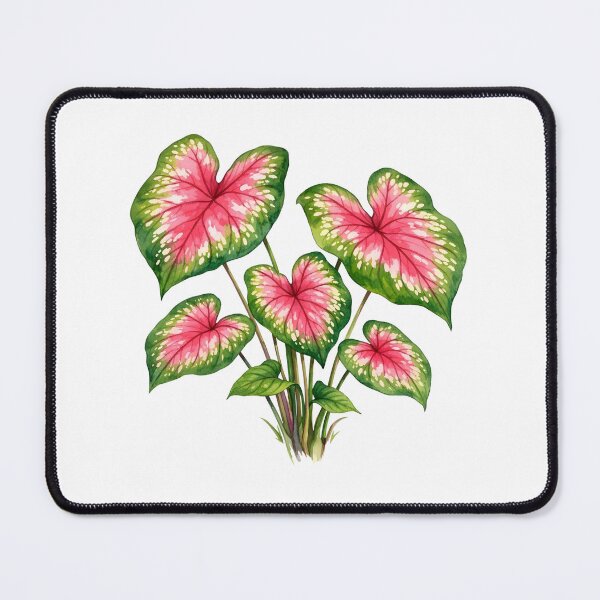 Item preview, Watercolor Pink Caladium Plant Leaves designed and sold by silviaol.