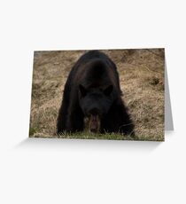 Stare down Greeting Card