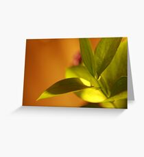 Featured! Greeting Card