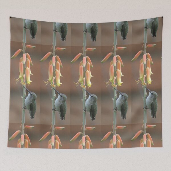 Item preview, Compare size designed and sold by loiteke.