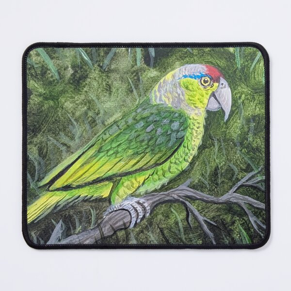 Item preview, Red-crowned parrot in the tropical forest  designed and sold by Matt Starr Fine Art .