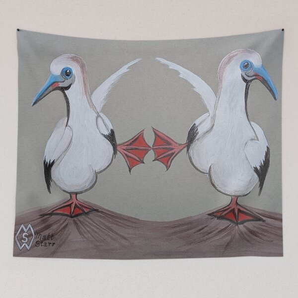 Item preview, Red-footed boobies dance  designed and sold by Matt Starr Fine Art .