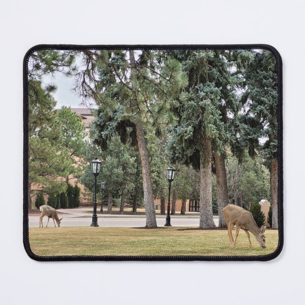 Item preview, Deer on sight designed and sold by COCO's Photos.