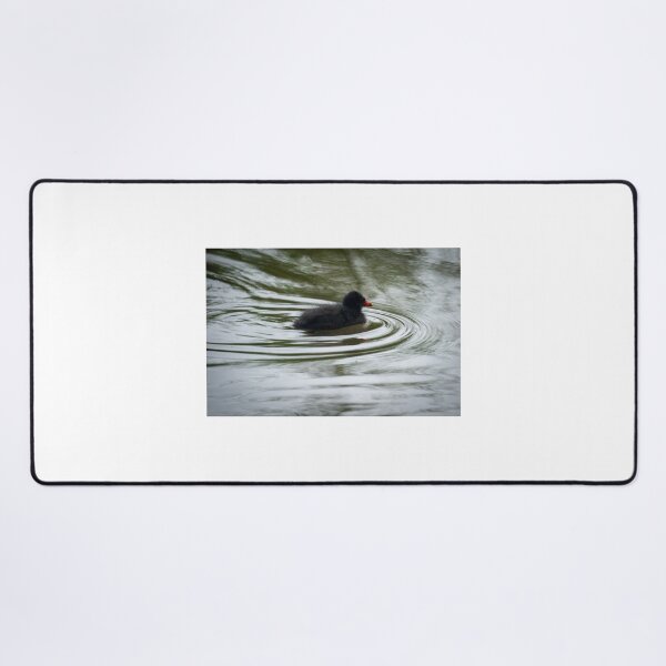 Item preview, Pukeko Chick  designed and sold by D-GaP.