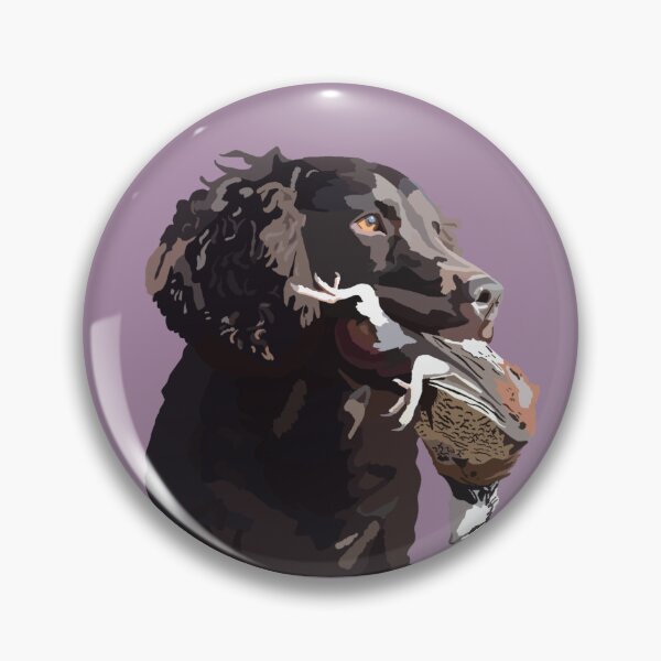 Item preview, American Water Spaniel designed and sold by madisonGreimann.