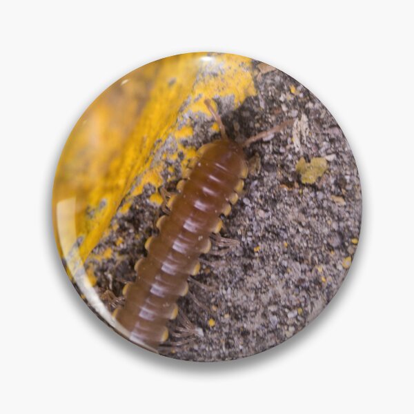 Item preview, Millipede designed and sold by ROSE ANN BANILAR.