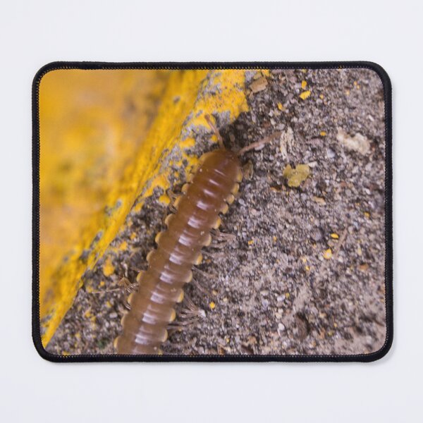 Item preview, Millipede designed and sold by ROSE ANN BANILAR.