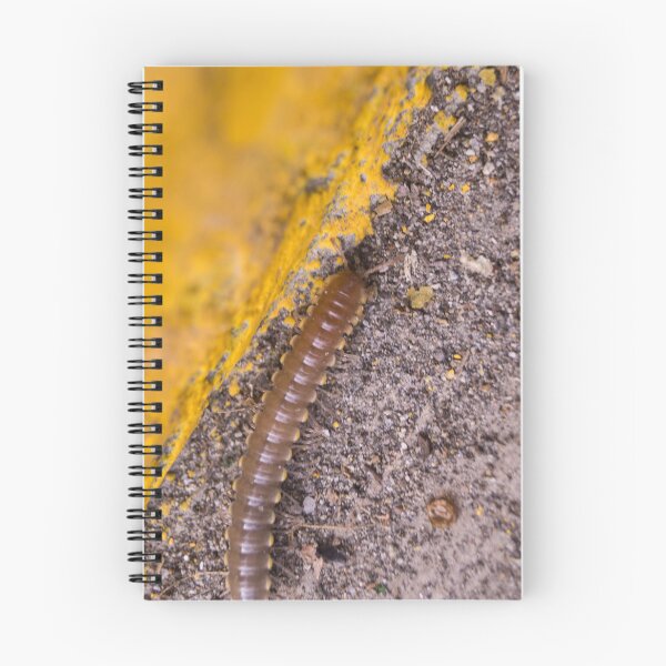 Item preview, Millipede designed and sold by ROSE ANN BANILAR.