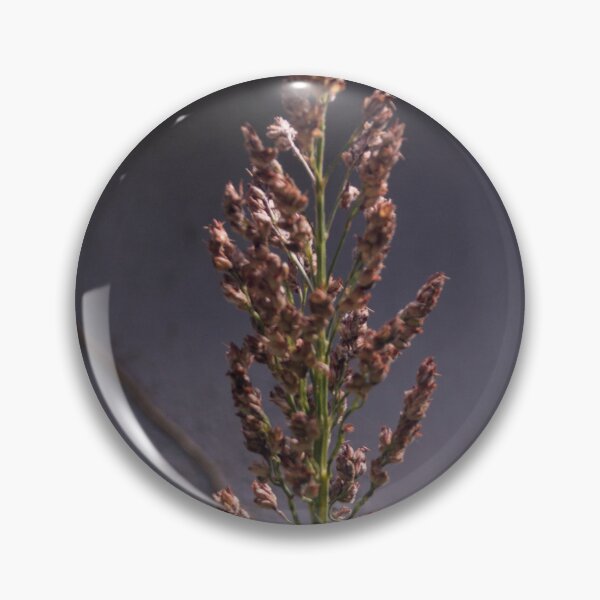 Item preview, Sudan grass designed and sold by ROSE ANN BANILAR.