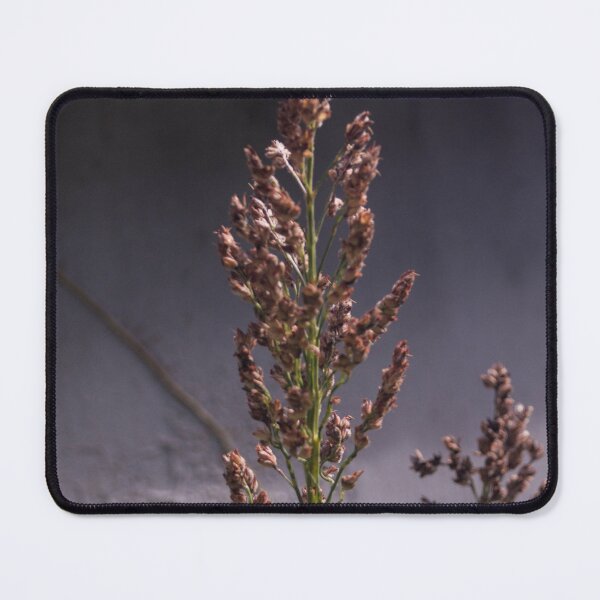 Item preview, Sudan grass designed and sold by ROSE ANN BANILAR.