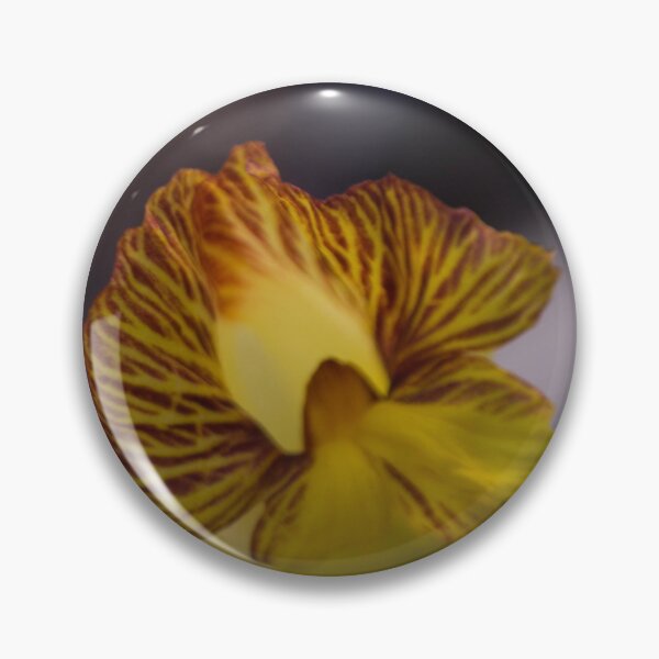 Item preview, insulin plant (Chamaecostus cuspidatus) designed and sold by ROSE ANN BANILAR.