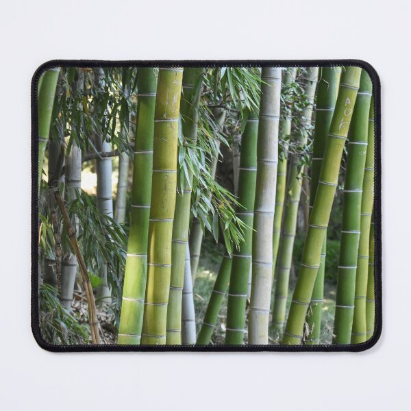Item preview, Bamboo Wood designed and sold by StylishDecor.