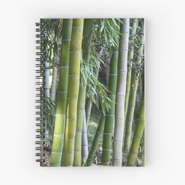 Aperçu de l'œuvre Bois de bambou créée et vendue par StylishDecor.