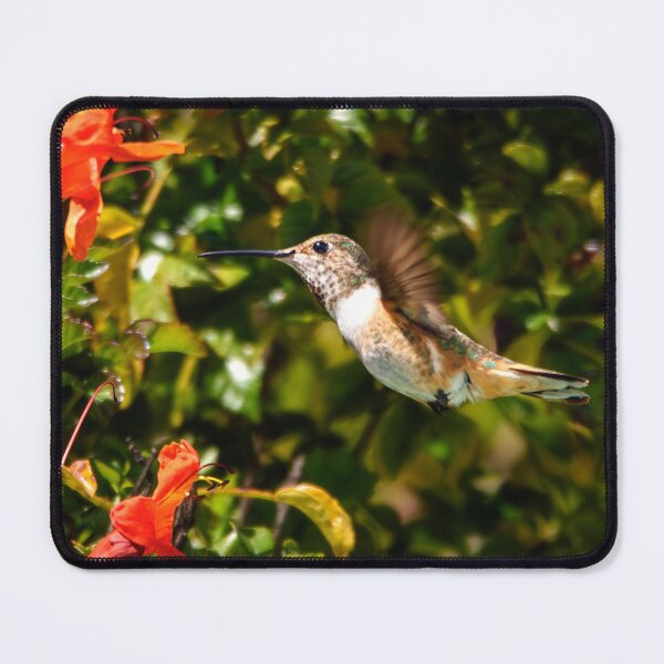 Item preview, Garden Jewel: Hummingbird in Bloom designed and sold by TheHikersEye.