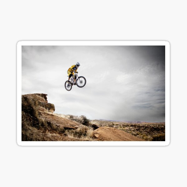 Item preview, The Leap designed and sold by FitZac1.