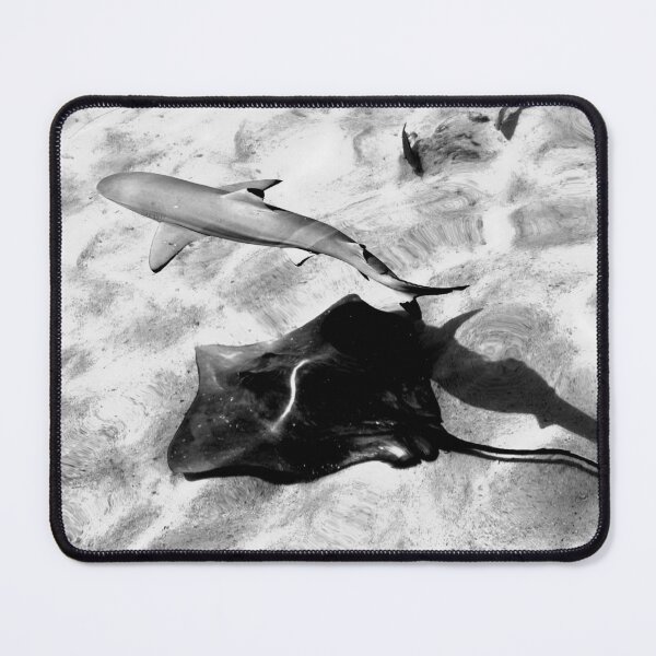 Item preview, Reef Shark and Stingray crossing Paths designed and sold by Annalucia.